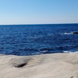 児童書作家の私からイラストレーターさんに向けて記事を書きました