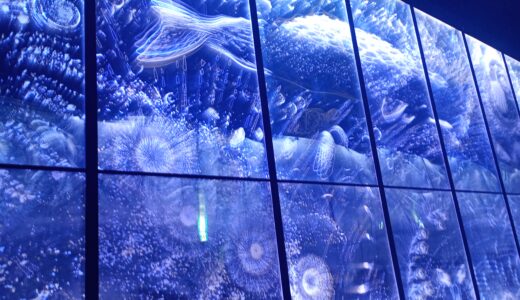 日本語教員試験に合格しました！試験の感想と勉強（つづける方法）